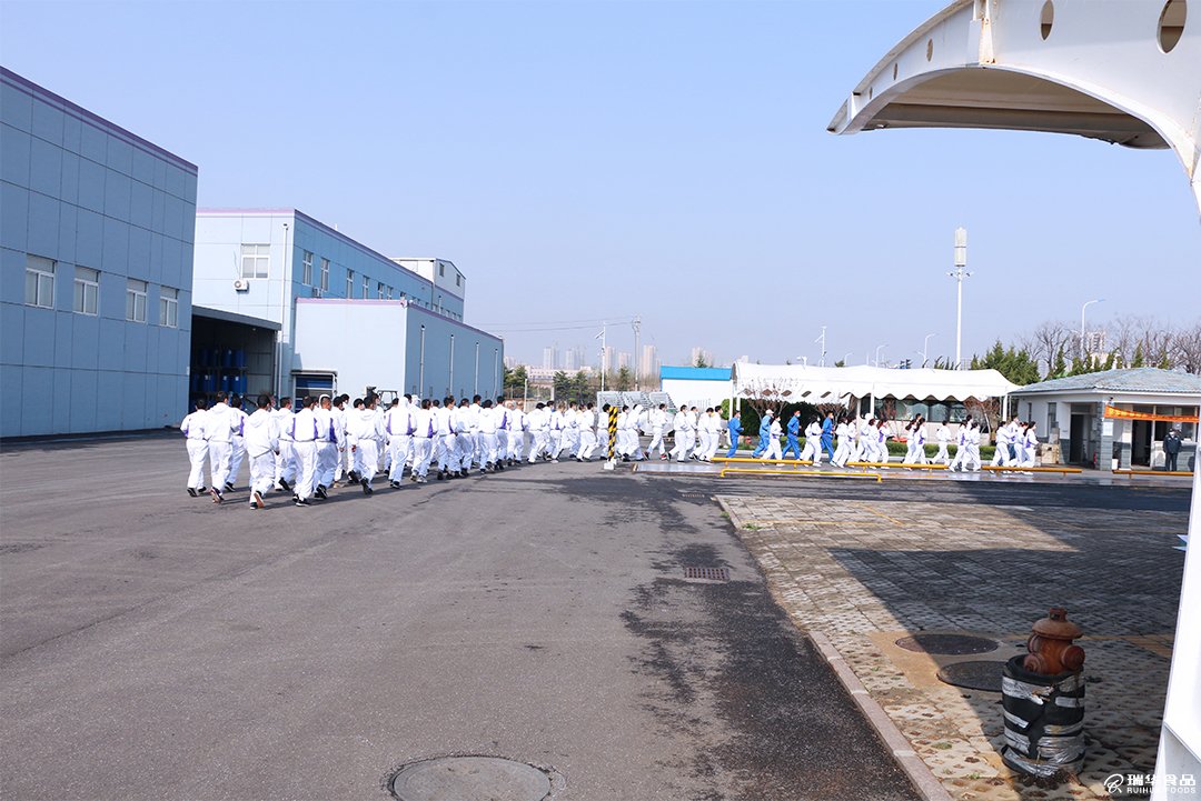 瑞华2020军训内训及拓展活动------打造企业高效能团队